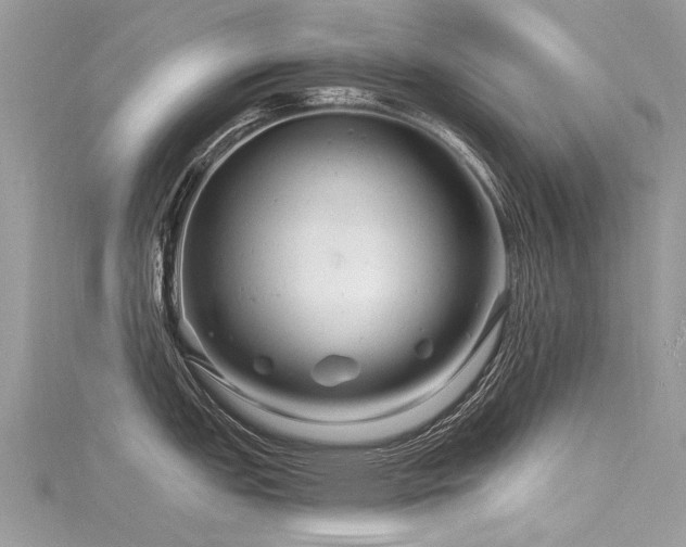 X0000116281151200911301352