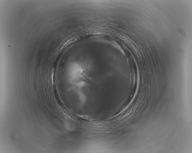 X0000116281155200911301352