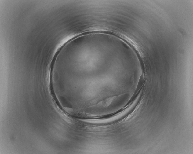 X0000116281179200911301351