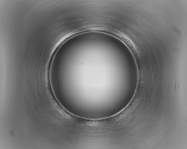 X0000116281182200911301351