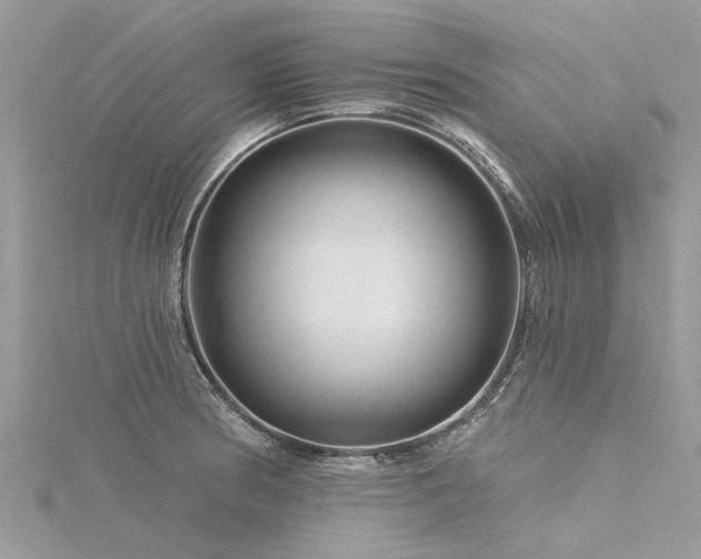 X0000116281186200911301351