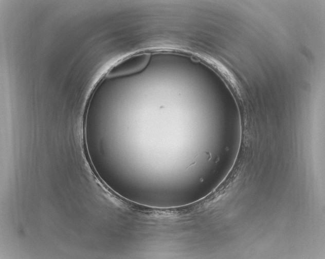 X0000116281191200911301351