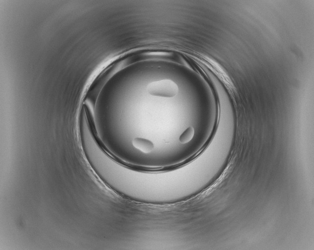 X0000116281196200911301351