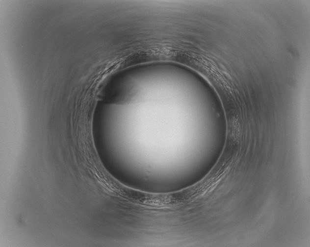 X0000116281201200911301350