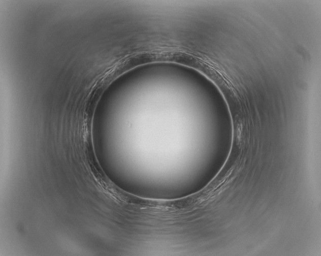 X0000116281204200911301350