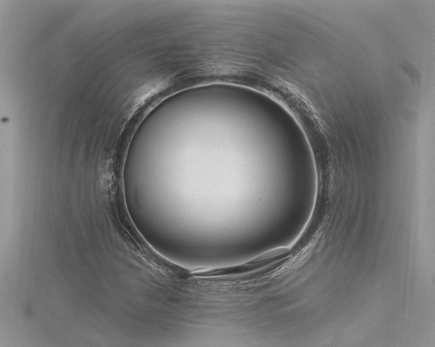 X0000116281210200911301350