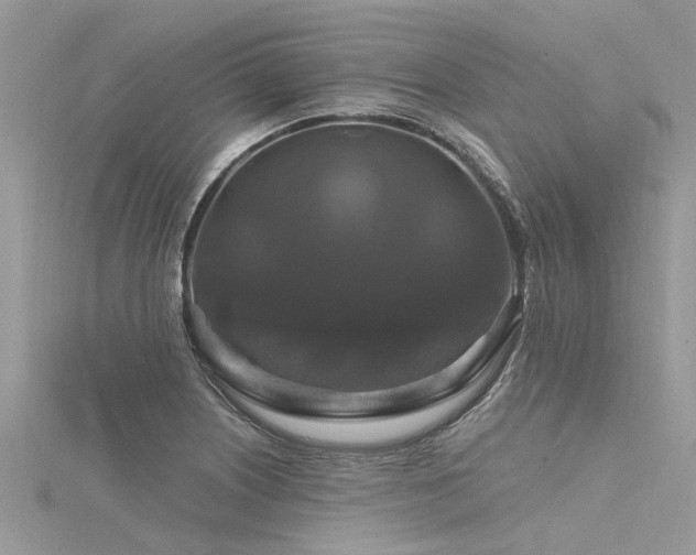 X0000116281226200911301351