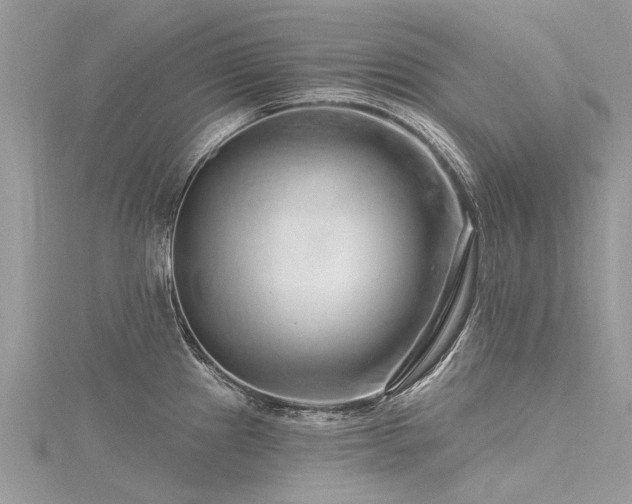 X0000116281241200911301351
