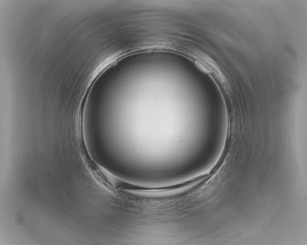 X0000116281242200911301351