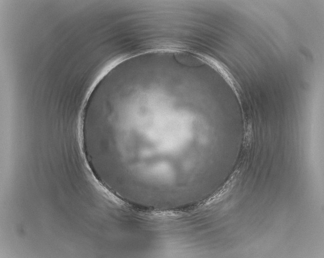 X0000116281243200911301351