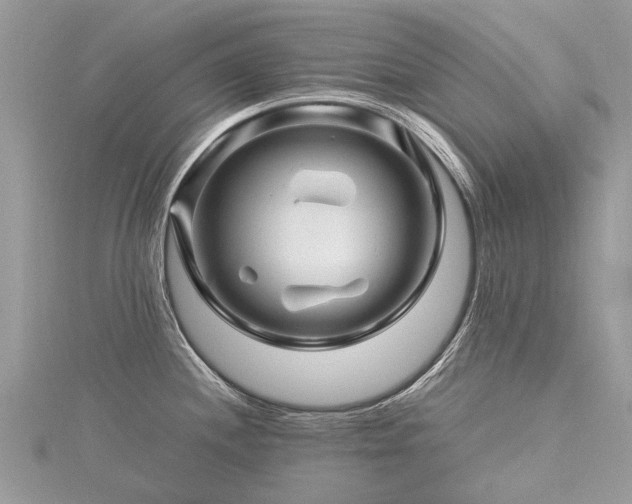 X0000116281244200911301351