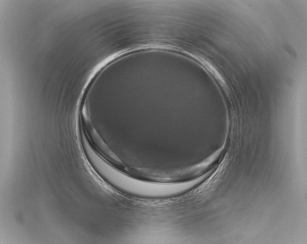 X0000116281246200911301351