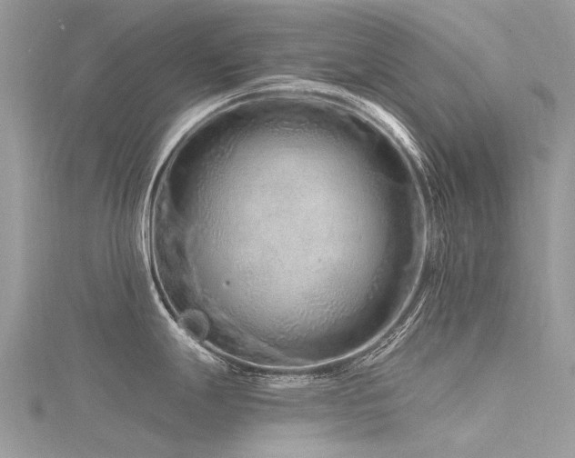 X0000116281247200911301351