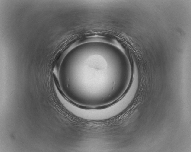 X0000116281253200911301350
