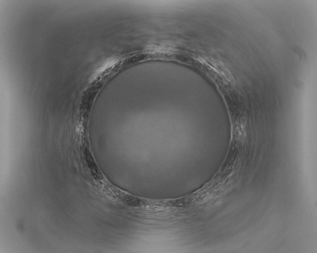 X0000116281254200911301350
