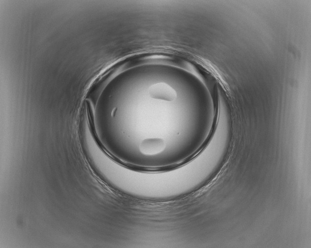 X0000116281260200911301350