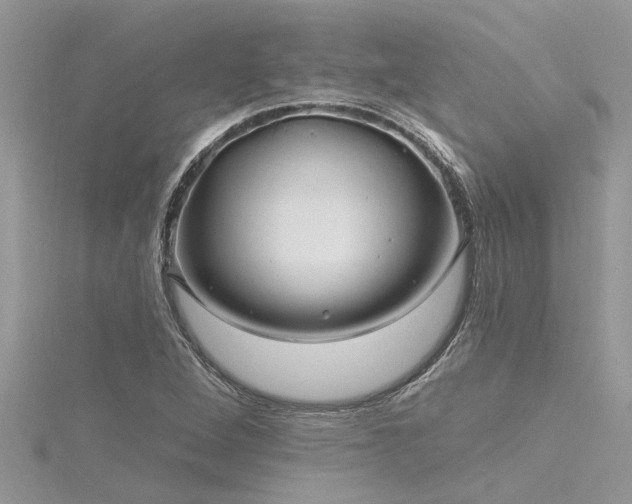 X0000116281264200911301350