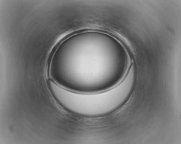 X0000116281272200911301350