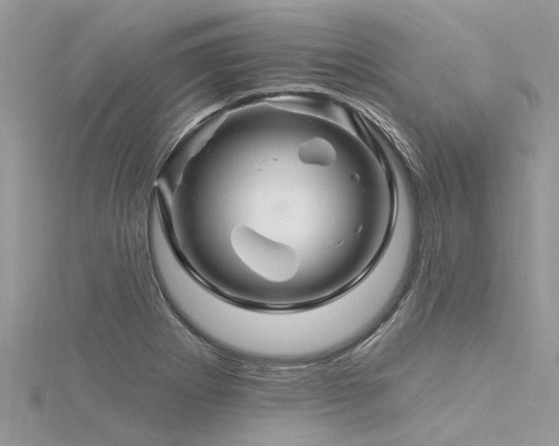 X0000116281273200911301350