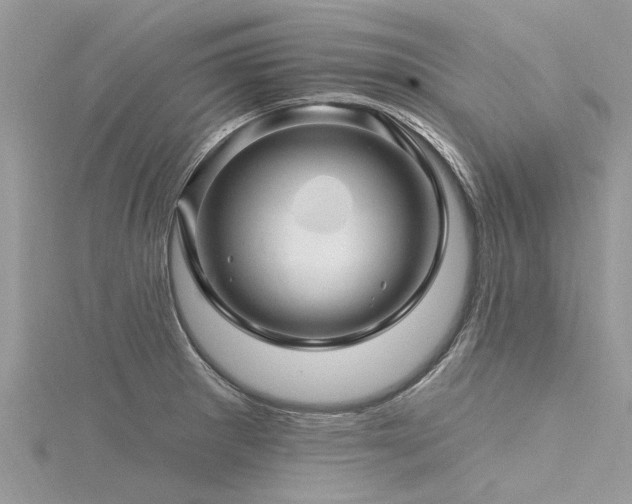 X0000116281281200911301350