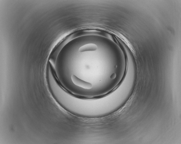 X0000116281285200911301350