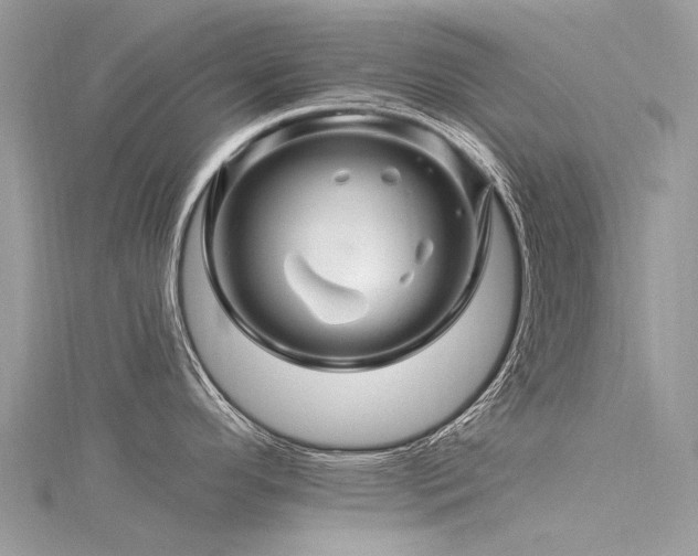 X0000116281296200911301350