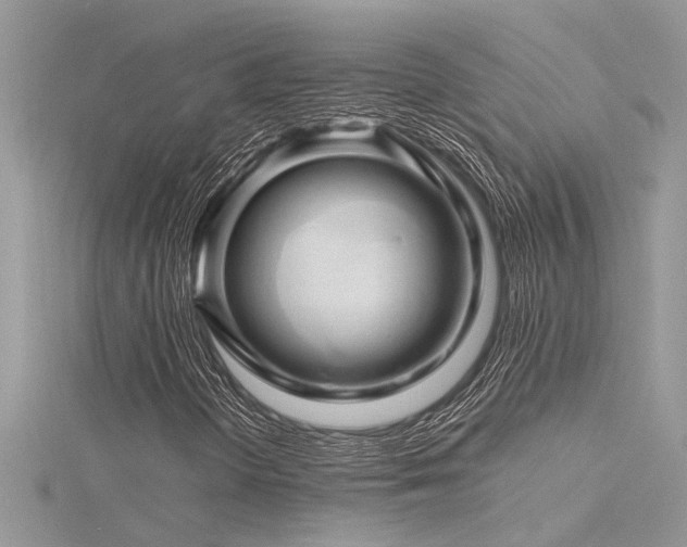 X0000116281298200911301349