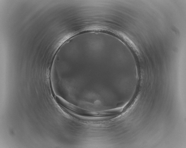 X0000116281329200911301349
