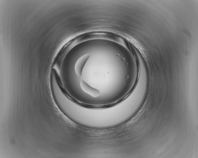 X0000116281334200911301349