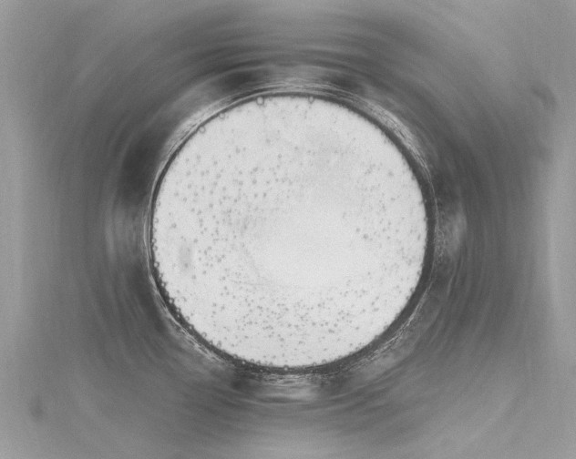 X0000116281338200911301349