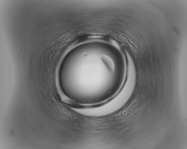 X0000116281345200911301349