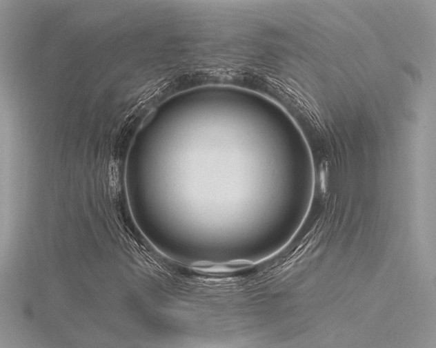 X0000116281347200911301349