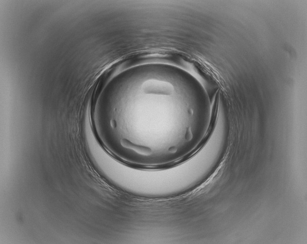 X0000116281353200911301349
