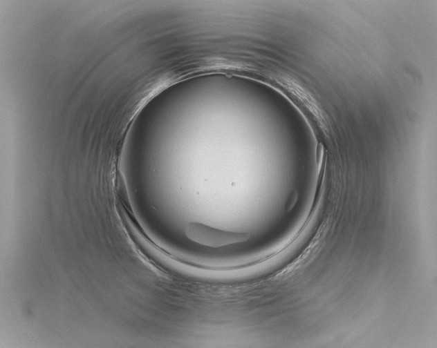 X0000116281377200911301348