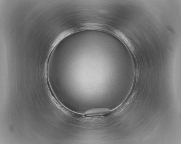 X0000116281386200911301348