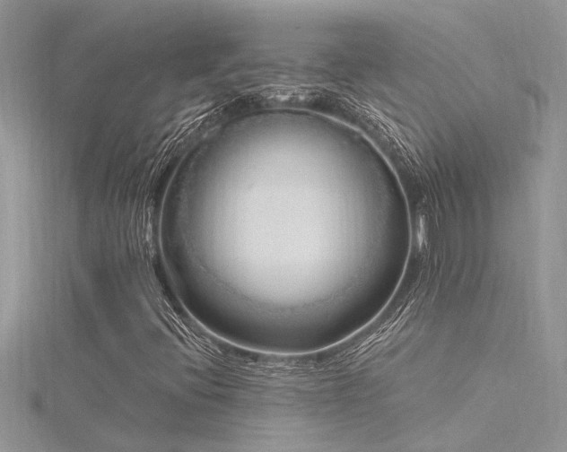 X0000116281396200911301348