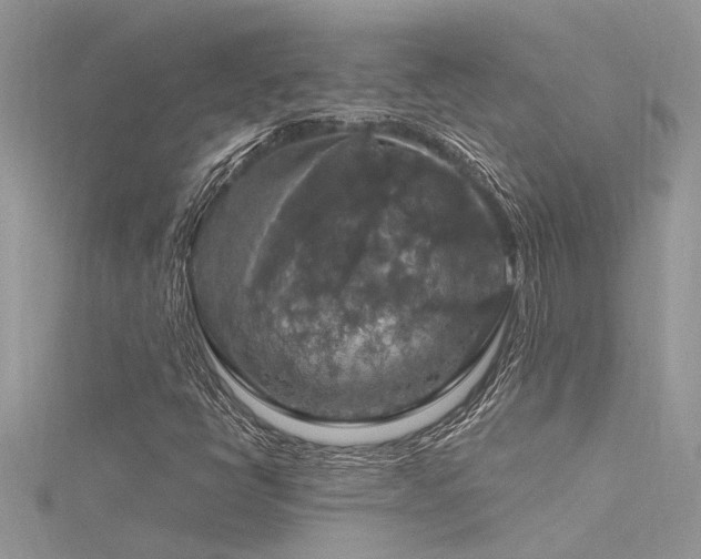 X0000116281398200911301348