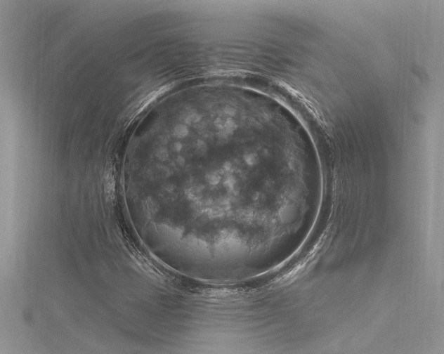 X0000116281401200911301348