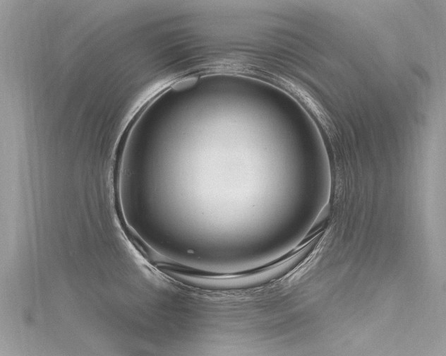 X0000116281434200911301348