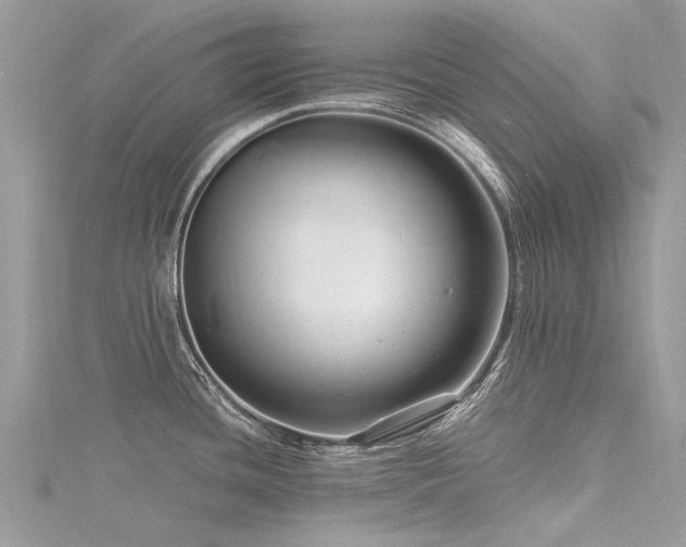 X0000116281436200911301348