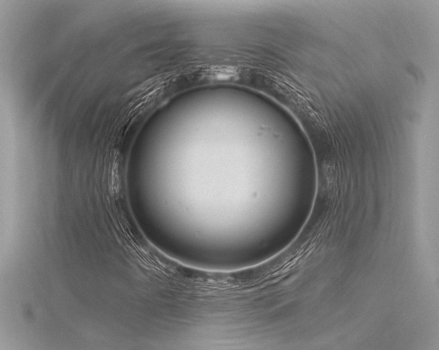X0000116281442200911301348