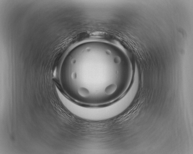 X0000116281443200911301348