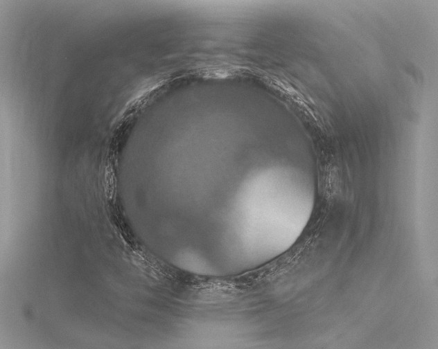 X0000116281446200911301348