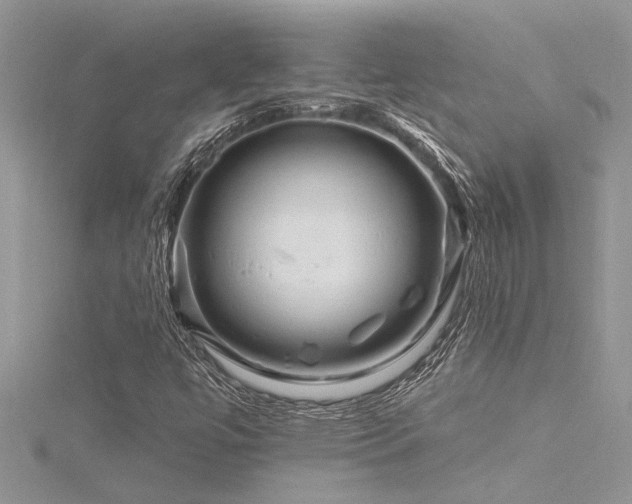 X0000116281447200911301348