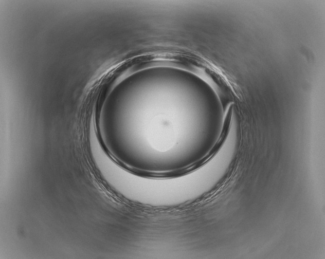X0000116281448200911301348