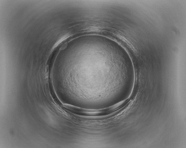 X0000116281450200911301348