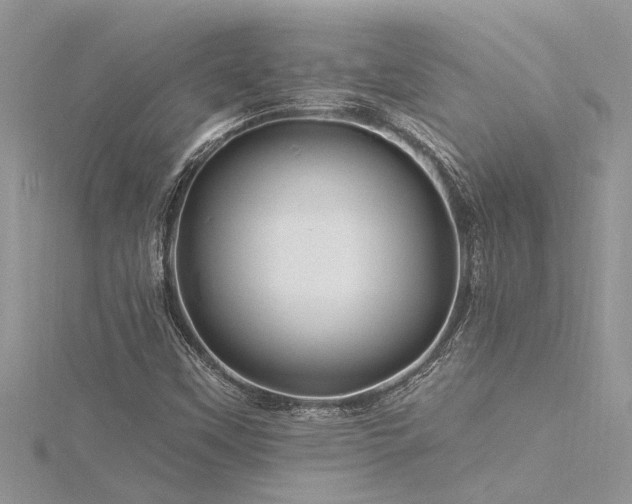 X0000116281451200911301348