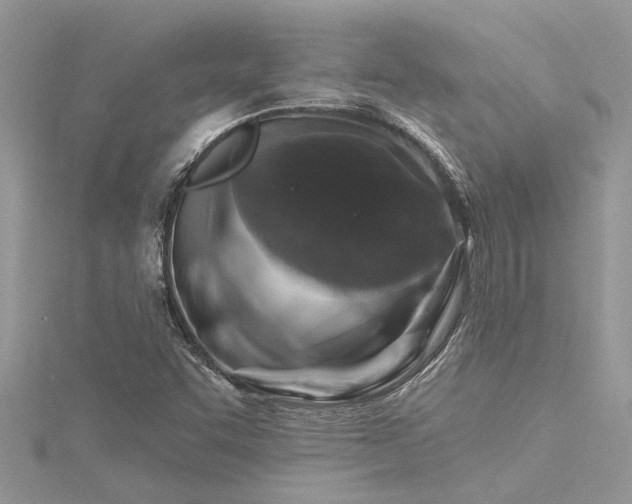 X0000116281455200911301348