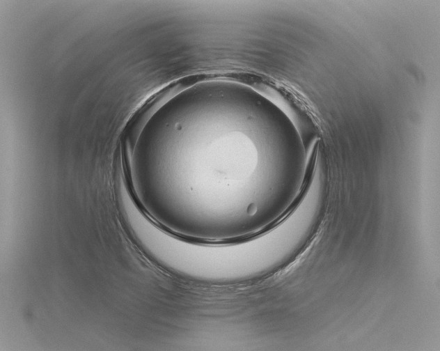 X0000116281457200911301347