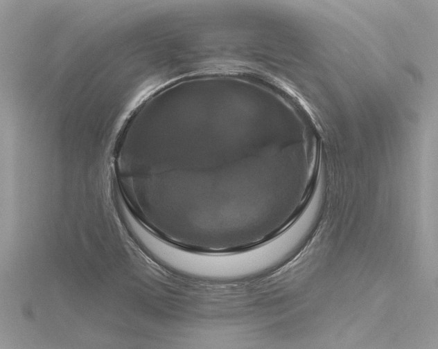 X0000116281459200911301347